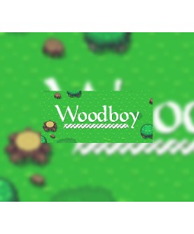 Woodboy Steam Key GLOBAL